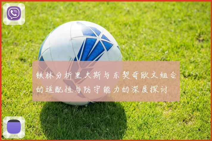 铁林分析里夫斯与东契奇欧文组合的适配性与防守能力的深度探讨